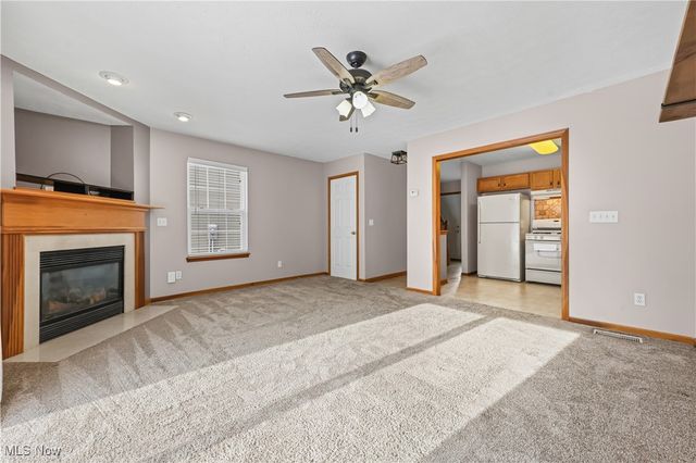 594 Birch Hill Drive, Medina, OH 44256