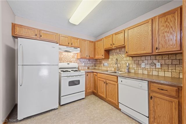 594 Birch Hill Drive, Medina, OH 44256