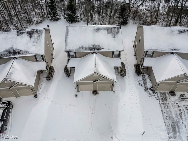 594 Birch Hill Drive, Medina, OH 44256