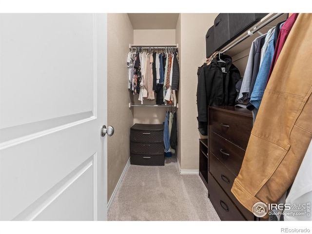 2014 Winamac Drive, Fort Collins, CO 80524