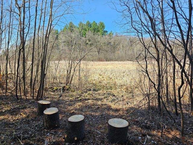 Lot 8 County Road C, Somerset, WI 54025
