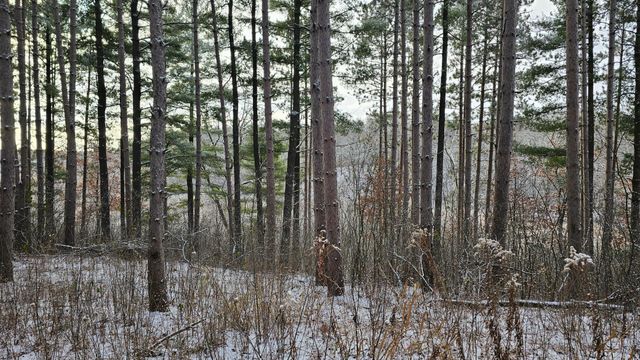 Lot 8 County Road C, Somerset, WI 54025
