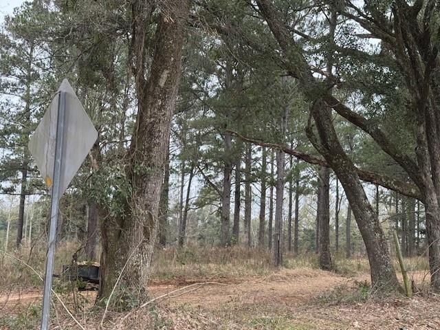 8601 Grelot Road, Mobile, AL 36695