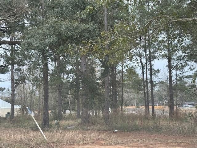 8601 Grelot Road, Mobile, AL 36695