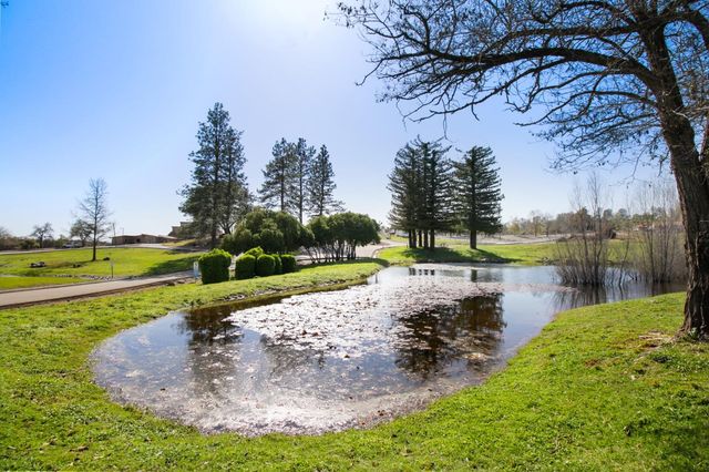 1276 Coon Ct, Cool, CA 95614