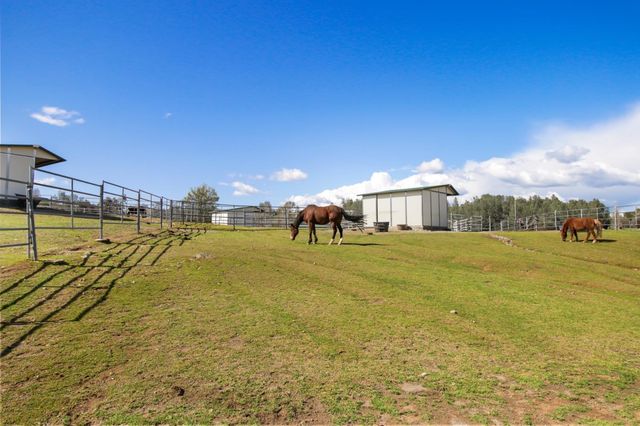 1276 Coon Ct, Cool, CA 95614