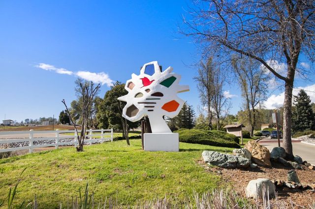 1276 Coon Ct, Cool, CA 95614