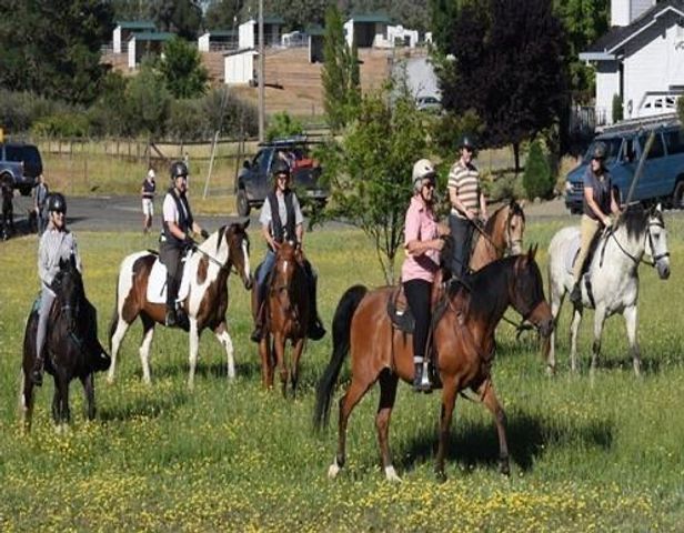 1276 Coon Ct, Cool, CA 95614