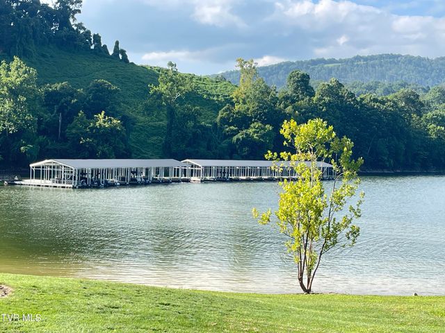 Tbd Cowan Town Road, Mountain City, TN 37683