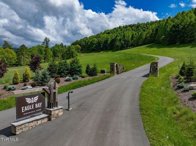 Tbd Cowan Town Road, Mountain City, TN 37683