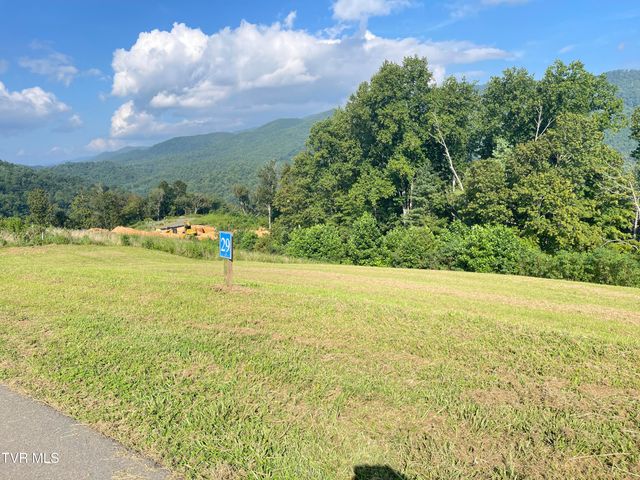 Tbd Cowan Town Road, Mountain City, TN 37683