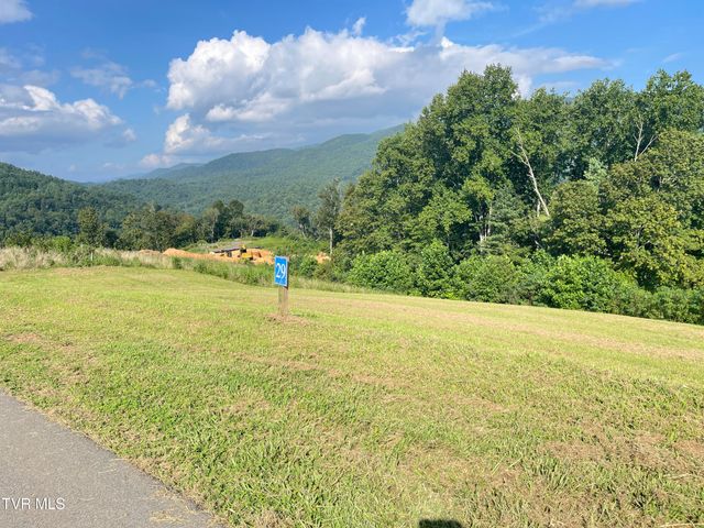 Tbd Cowan Town Road, Mountain City, TN 37683