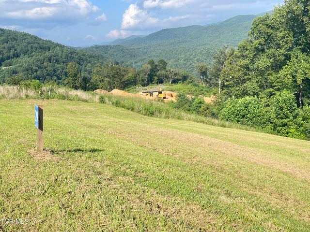 Tbd Cowan Town Road, Mountain City, TN 37683