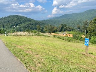 Tbd Cowan Town Road, Mountain City, TN 37683