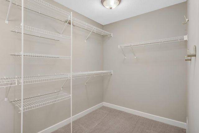 19196 Harappa Avenue, Lakeville, MN 55044