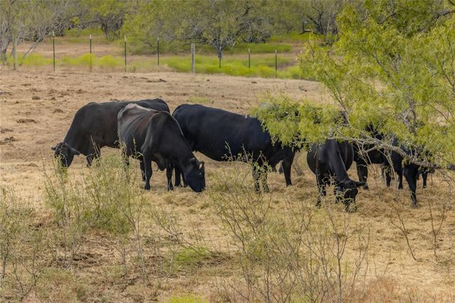 1152 County Road 447, Waelder, TX 78959