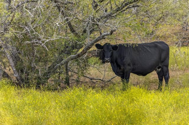 1152 County Road 447, Waelder, TX 78959