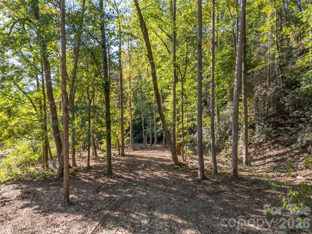 0 Firefly Cove 9, Lake Lure, NC 28746