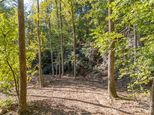 0 Firefly Cove 9, Lake Lure, NC 28746