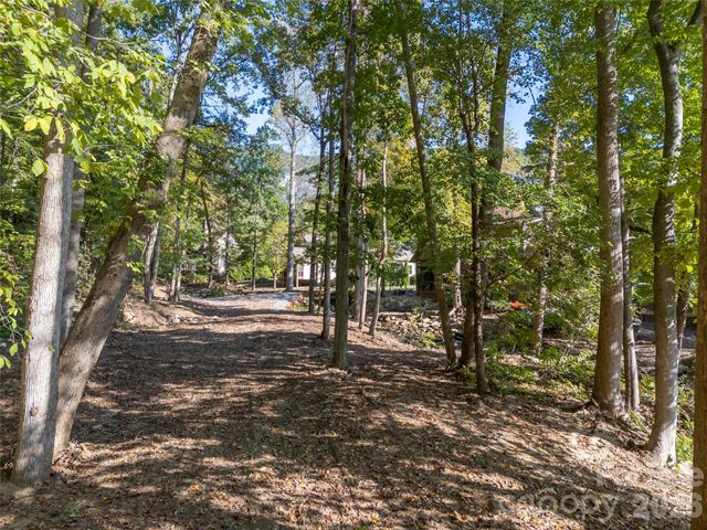 0 Firefly Cove 9, Lake Lure, NC 28746
