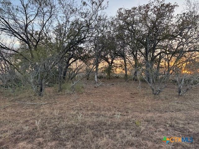 TBD Fm-1681, Stockdale, TX 78160