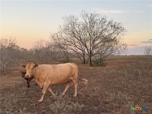 TBD Fm-1681, Stockdale, TX 78160