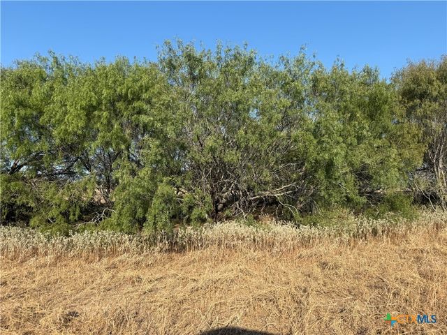 TBD Fm-1681, Stockdale, TX 78160