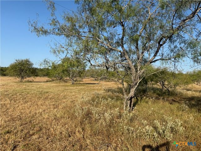 TBD Fm-1681, Stockdale, TX 78160