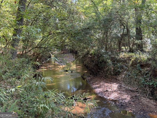 282.37 AC W Ellis Road, Griffin, GA 30223