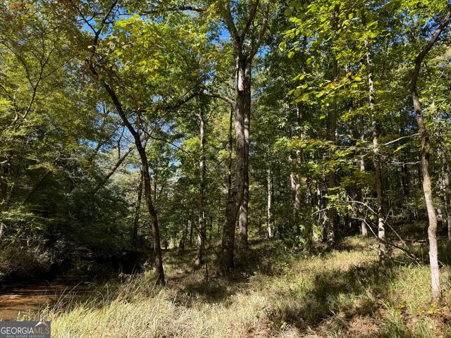 282.37 AC W Ellis Road, Griffin, GA 30223