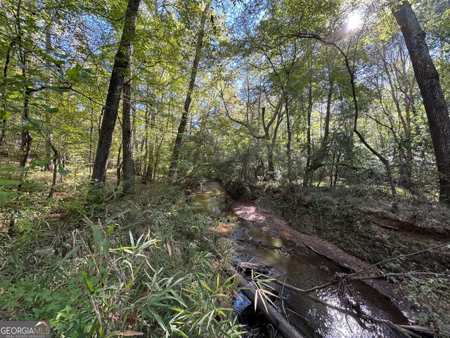 282.37 AC W Ellis Road, Griffin, GA 30223