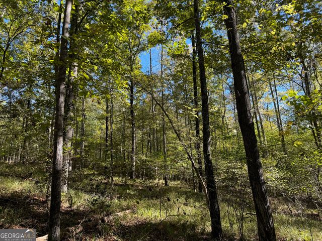 282.37 AC W Ellis Road, Griffin, GA 30223