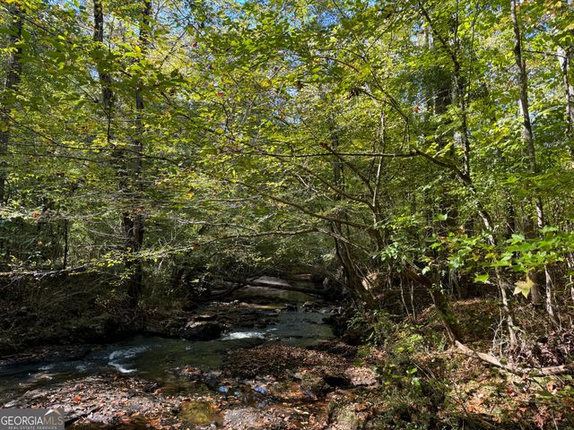 282.37 AC W Ellis Road, Griffin, GA 30223