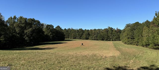 282.37 AC W Ellis Road, Griffin, GA 30223