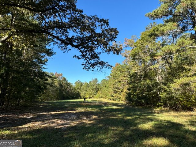 282.37 AC W Ellis Road, Griffin, GA 30223