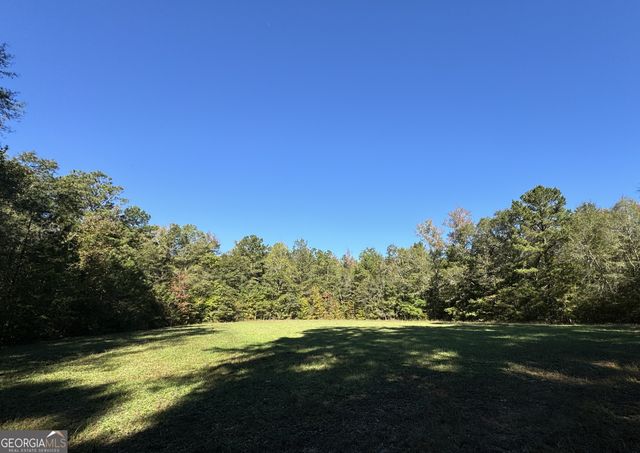 282.37 AC W Ellis Road, Griffin, GA 30223