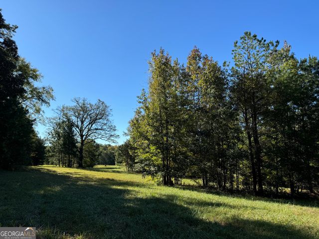 282.37 AC W Ellis Road, Griffin, GA 30223