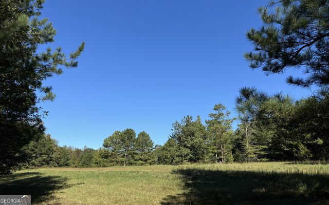 282.37 AC W Ellis Road, Griffin, GA 30223