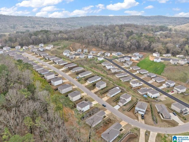 8653 MOHRING PLACE, Leeds, AL 35094