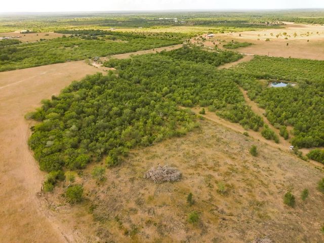TBD County Road 446, Waelder, TX 78959