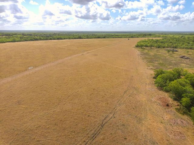 TBD County Road 446, Waelder, TX 78959