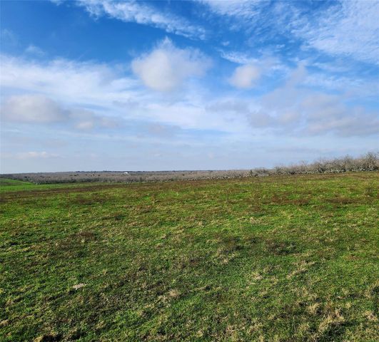 TBD County Road 446, Waelder, TX 78959