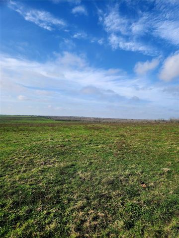 TBD County Road 446, Waelder, TX 78959