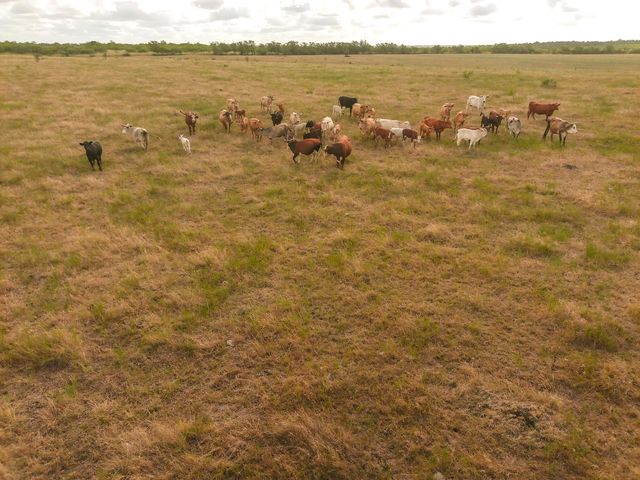 TBD County Road 446, Waelder, TX 78959