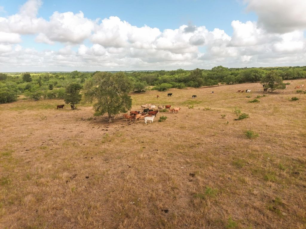 TBD County Road 446, Waelder, TX 78959