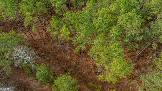 8817 Highway 100, Hogansville, GA 30230