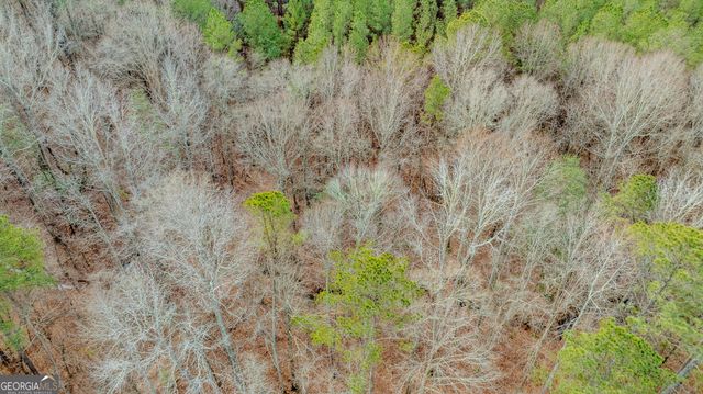 8817 Highway 100, Hogansville, GA 30230