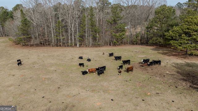 8817 Highway 100, Hogansville, GA 30230