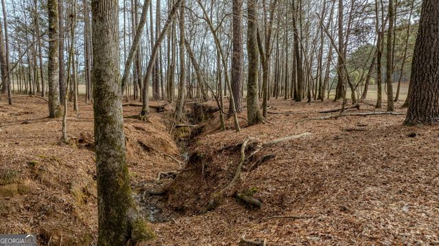 8817 Highway 100, Hogansville, GA 30230