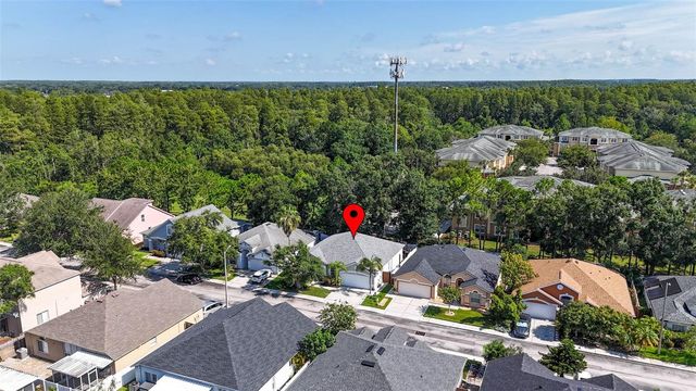 8853 CYPRESS HAMMOCK DRIVE, Tampa, FL 33614